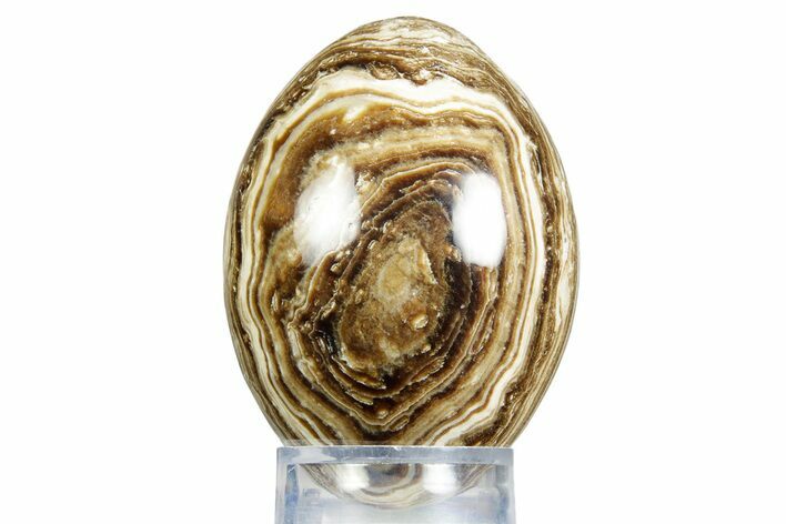 Swirling Polished Chocolate Calcite Egg - Pakistan #350181